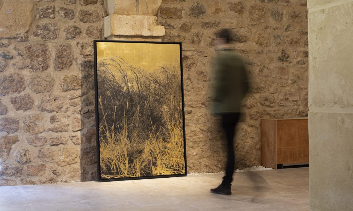 Img1_2021InLimitis_Comisariado_RodrigoCarreño