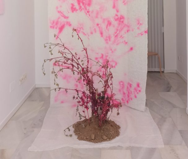 Img3_2022TrilogiaEmocional_Comisariado_RodrigoCarreño