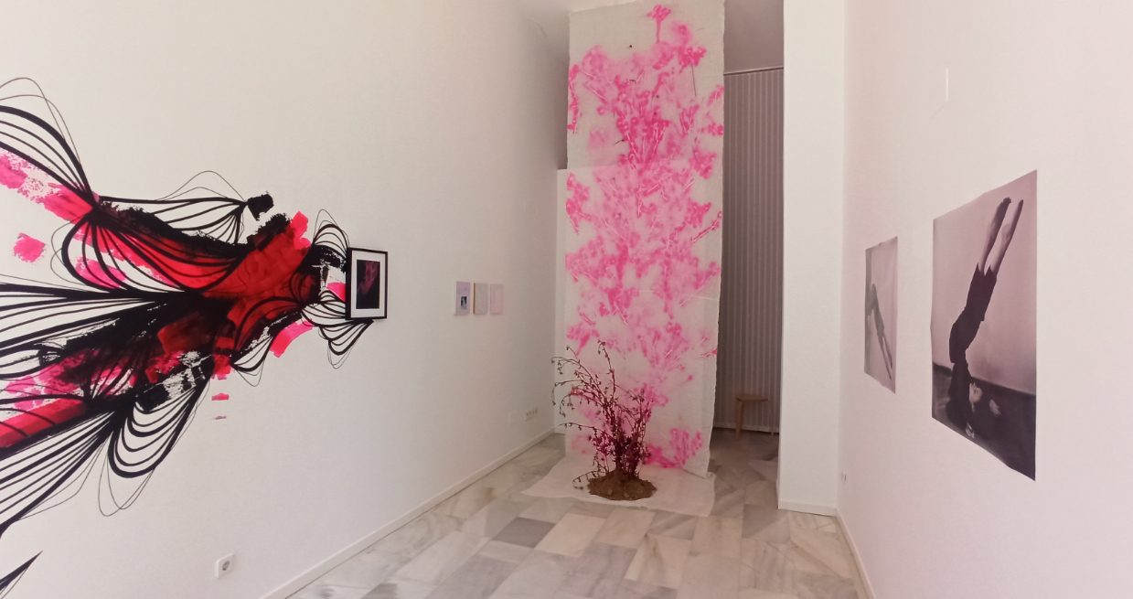 Img4_2022TrilogiaEmocional_Comisariado_RodrigoCarreño