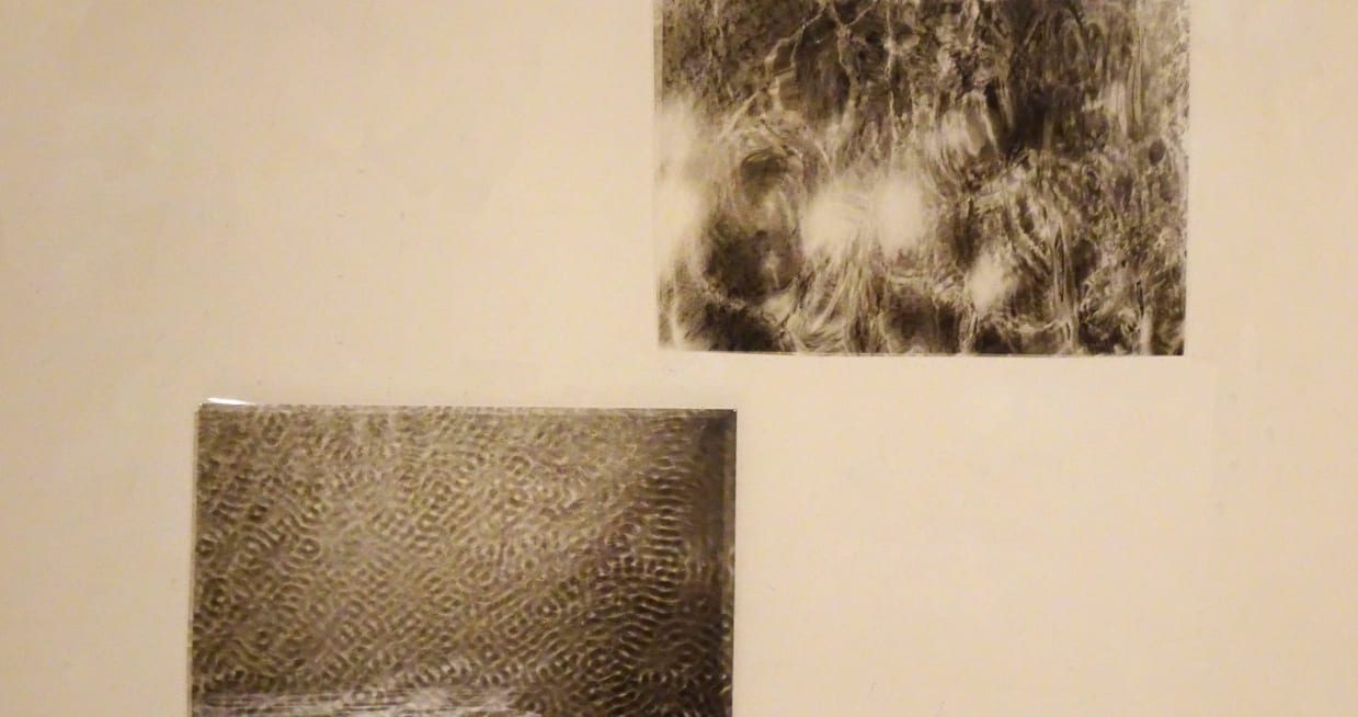 Img4_2024AnteElAzar_Comisariado_RodrigoCarreño